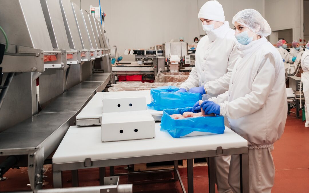 Ensuring Food Safety: The Role of Environmental Testing